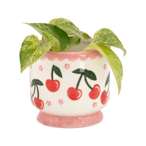 Ceramiczna osłonka na doniczkę ø 7,5 cm Fruit – Sass & Belle-image-1
