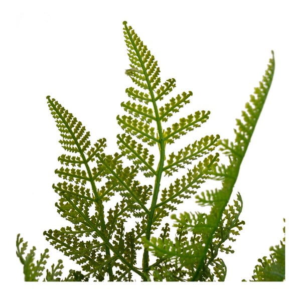 Sztuczna paproć (wysokość 45 cm) – Casa Selección-image-2