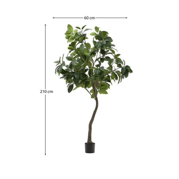 Sztuczny fikus (wysokość 210 cm) Ficus – Kave Home-image-4