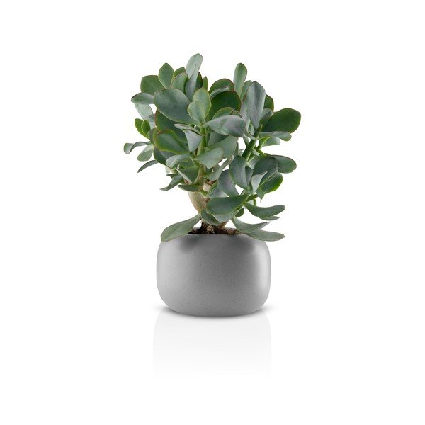 Szara doniczka ceramiczna Eva Solo Stone, ø 16 cm-image-2