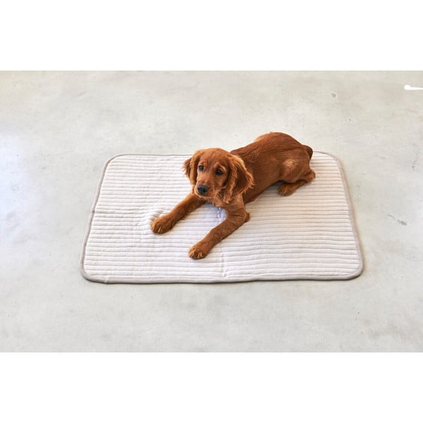 Beżowy bawełniany koc dla psów 90x120 cm Onda Greige L – MiaCara-image-1