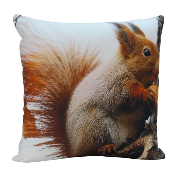 Poduszka Squirrel Ted, 45x45 cm