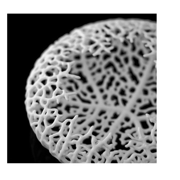 Broszka Hyphae White-image-2