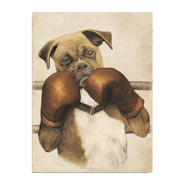 Obraz na płótnie Boxer, 30x40 cm