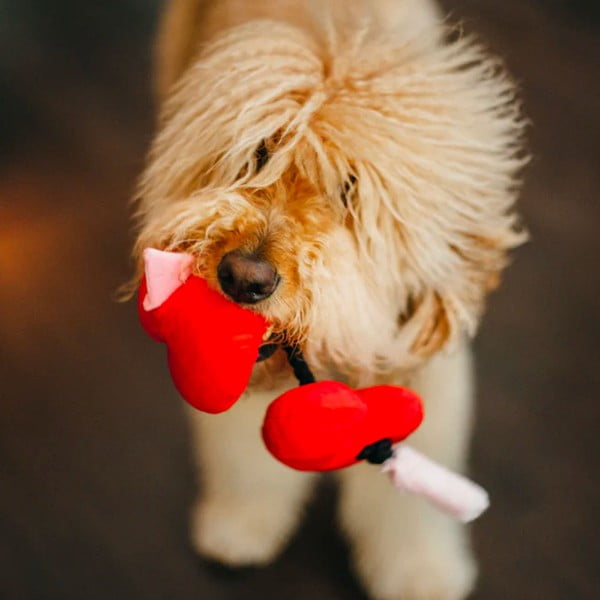 Zabawka dla psa Serce – P.L.A.Y.-image-1