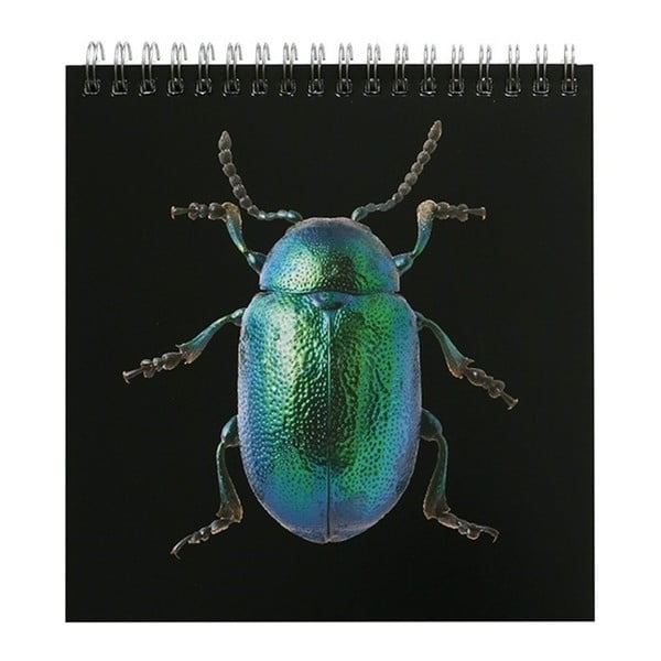 Kalendarz stołowy 2018 Portico Designs Natural History Museum Beetles & Bugs
