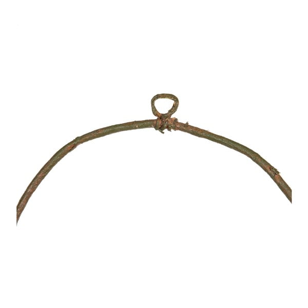 Wieniec Magnolia – Ixia-image-1