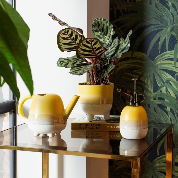 Żółta doniczka Sass & Belle Bohemian Home Mojave, ø 11,7 cm-image-1