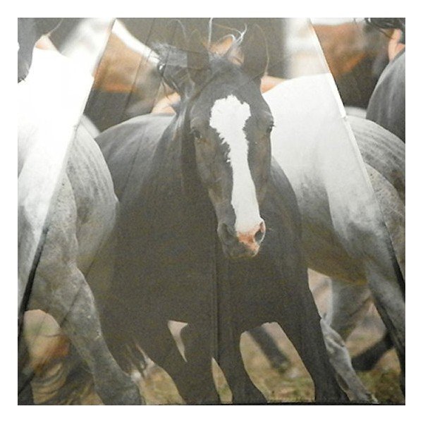 Parasol Running Horses-image-2