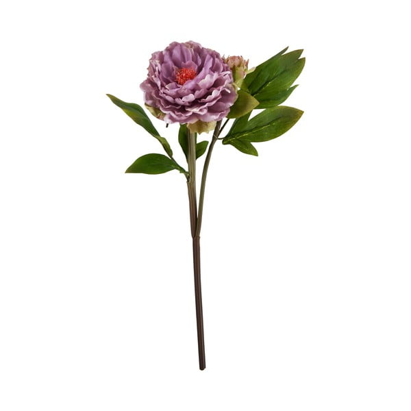 Roślina dekoracyjna Moycor Lilac, 50 cm