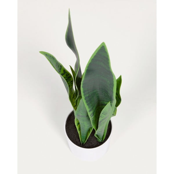 Sztuczna roślina (wysokość 55 cm) Sansevieria – Kave Home-image-2