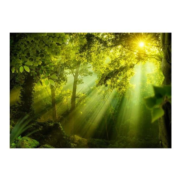 Tapeta wielkoformatowa Bimago In a Secret Forest, 350x245 cm