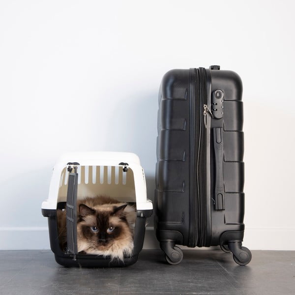 Transporter dla czworonoga 31x46 cm – Love Story-image-1