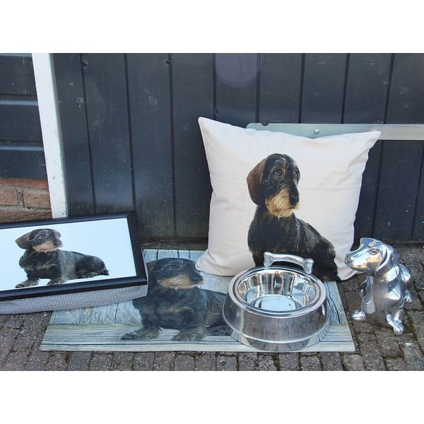 Poduszka Mars&More Dog, 50x50  cm-image-2