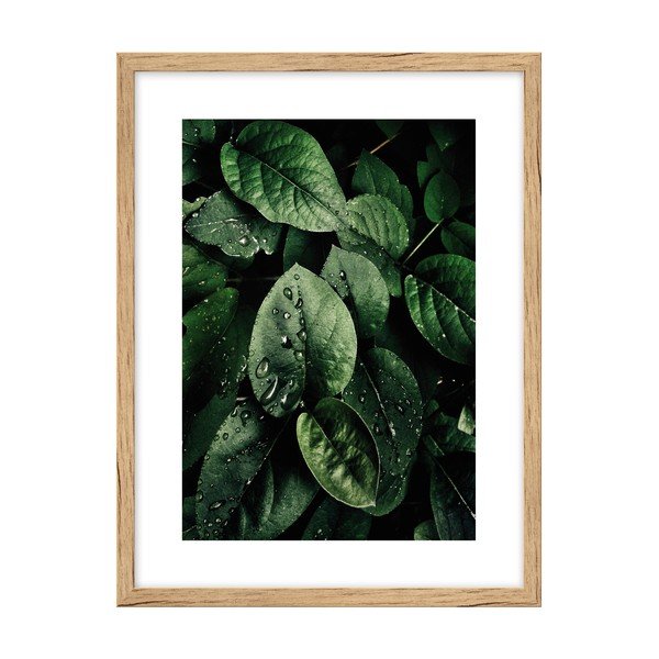 Plakat 30x40 cm Leaves