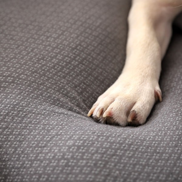 Jasnoszare legowisko dla psów 60x48 cm Graphene – Love Story-image-3