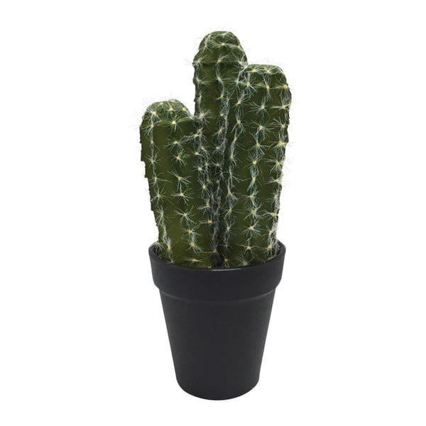 Kaktus dekoracyjny HouseVitamin® Party of the Plants, wysokość 26,5 cm