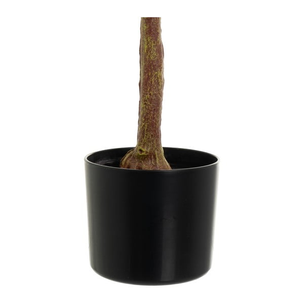 Sztuczny kwiat Eucalyptus – Casa Selección-image-3