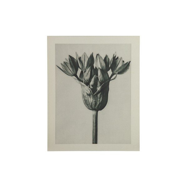 Beżowo-szary obraz BePureHome Artwork Bud
