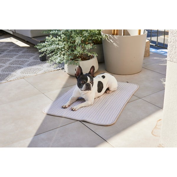 Szary bawełniany koc dla psów 90x120 cm Onda Pebble L – MiaCara-image-2