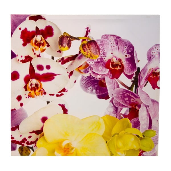 Obraz na płótnie 8mood Orchid, 90 x 90 cm