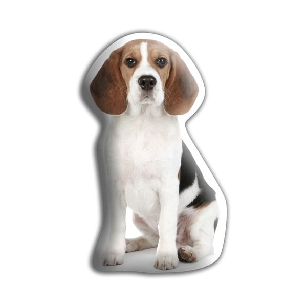 Poduszeczka Adorable Cushions Beagle