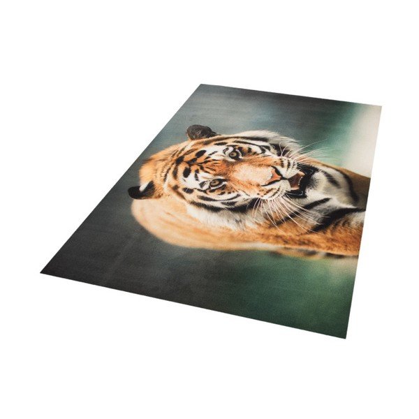 Dywan Hanse Home Tiger, 190x140 cm-image-1