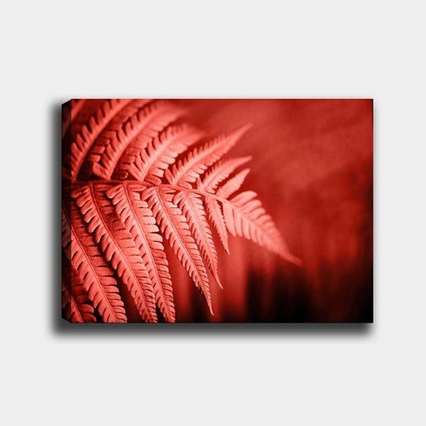 Obraz na płótnie Tablo Center Palm, 40x60 cm