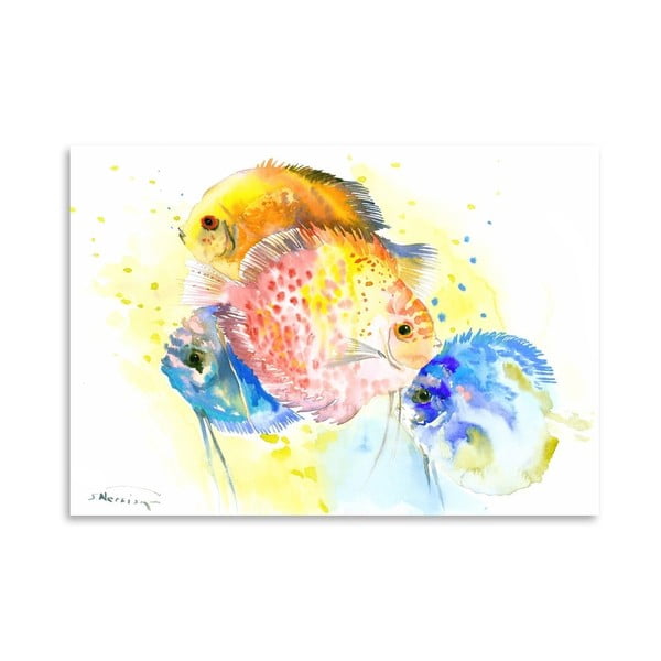 Plakat Discus Fish Rainbow