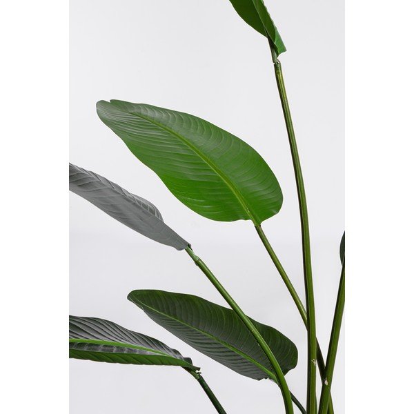 Sztuczny kwiat (wysokość 185 cm) Sterilizia – Bizzotto-image-1
