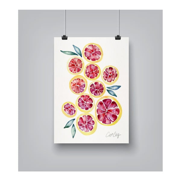 Plakat Americanflat Grapefruit Slices by Cat Coquillette, 30x42 cm