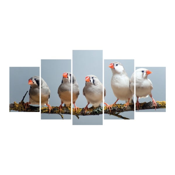 Wieloczęściowy obraz La Maison Des Couleurs Five Birds