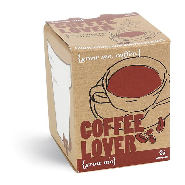 Zestaw do uprawy roślin z ziarnami kawowca Gift Republic Coffee Lover