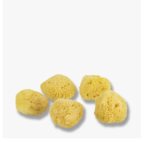 Gąbki do twarzy zestaw 5 szt. Ocean – Mette Ditmer Denmark