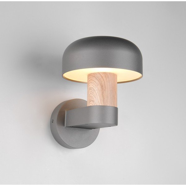 Zewnętrzna lampa ścienna (wysokość 24,5 cm) Fraser – Trio-image-1