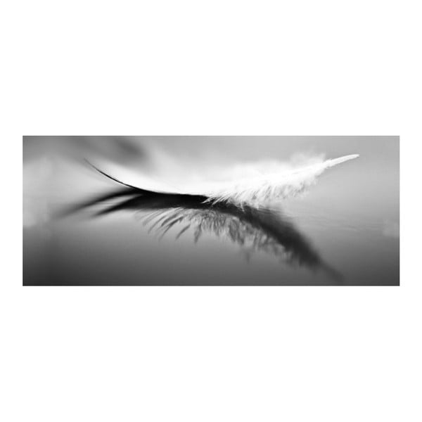 Obraz szklany DecoMalta Feather, 125x50 cm