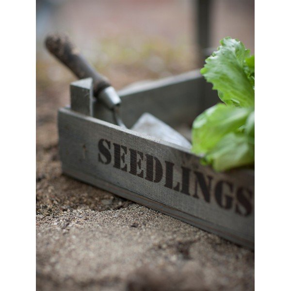 Skrzynka na sadzonki z drewna sosnowego Garden Trading Seedlings-image-1