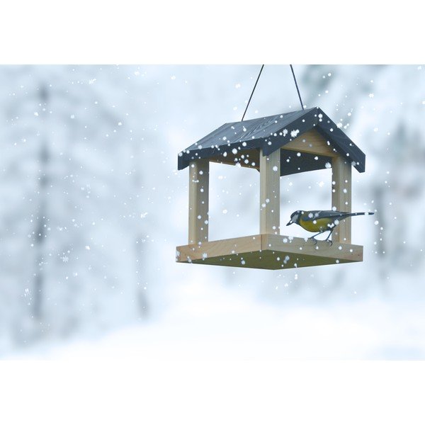 Drewniany karmnik wiszący Esschert Design-image-3