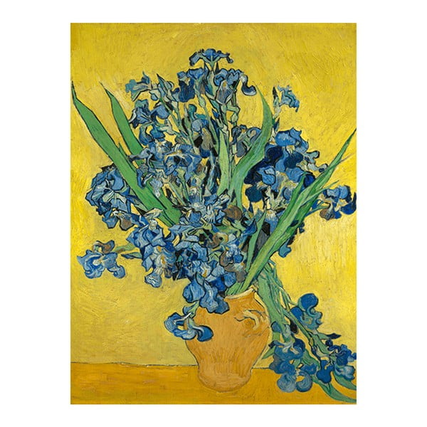 Reprodukcja obrazu Vincenta van Gogha - Irises, 40x30 cm