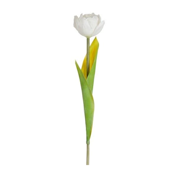Sztuczny kwiat Tulipan, kremowy