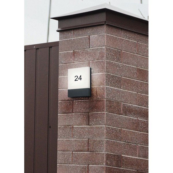 Lampa zewnętrzna ścienna LED (wysokość 20 cm) Pecos – Trio-image-2