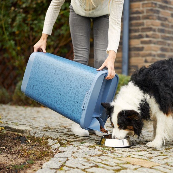 Niebieski pojemnik na karmę 50 l Cody – Rotho-image-4