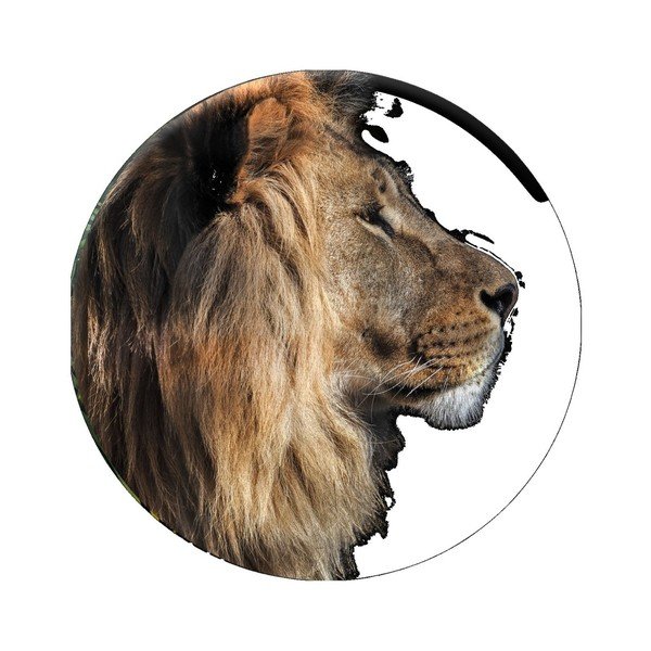 Dekoracja ścienna Styler Ring Lion, ø 70 cm