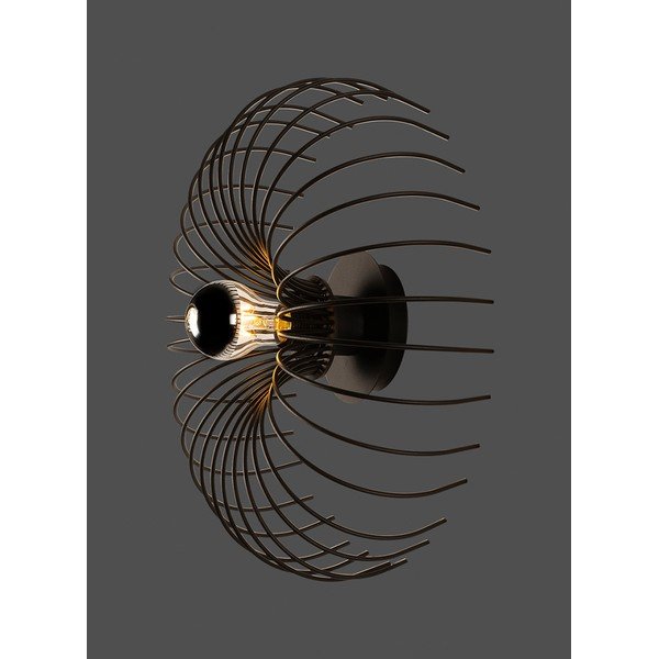 Czarny kinkiet Opilio – Squid Lighting-image-3