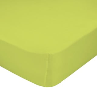 Zielone prześcieradło elastyczne z bawełny Happy Friday Basic, 90x200 cm