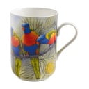 Porcelanowy kubek 330 ml Lorikeets – Maxwell & Williams