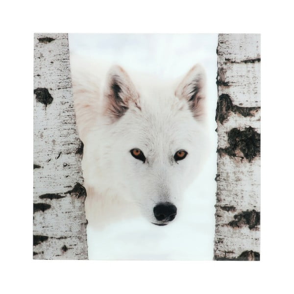 Obraz/plakat J-Line Wolf, 110 x 110 cm