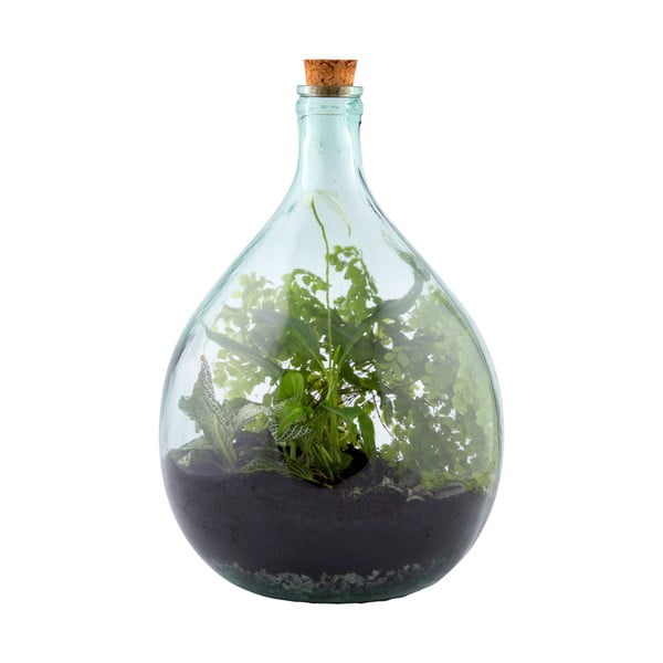 Szklane terrarium z narzędziami do uprawy roślin Esschert Design, 15 l-image-2