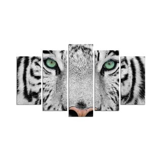 Obraz wieloczęściowy Snow Tiger