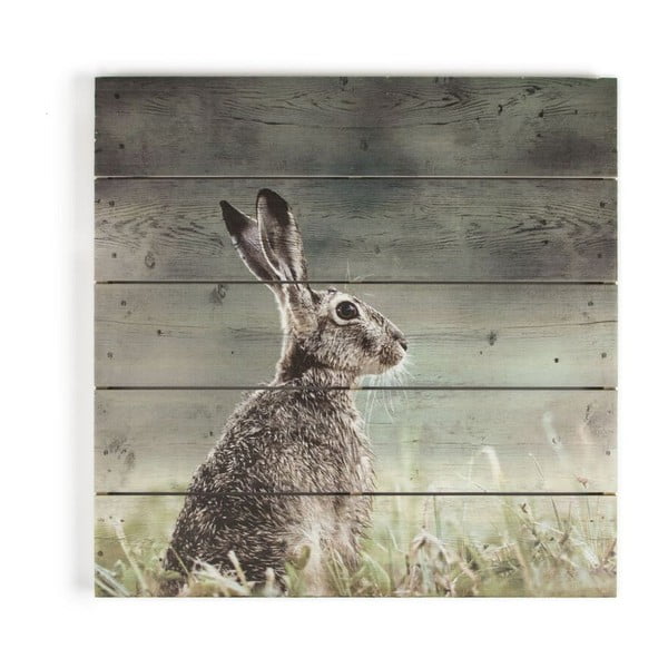 Drewniany obraz Graham & Brown Hare, 50x50 cm